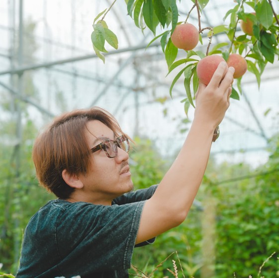甲府 桃 産地直送