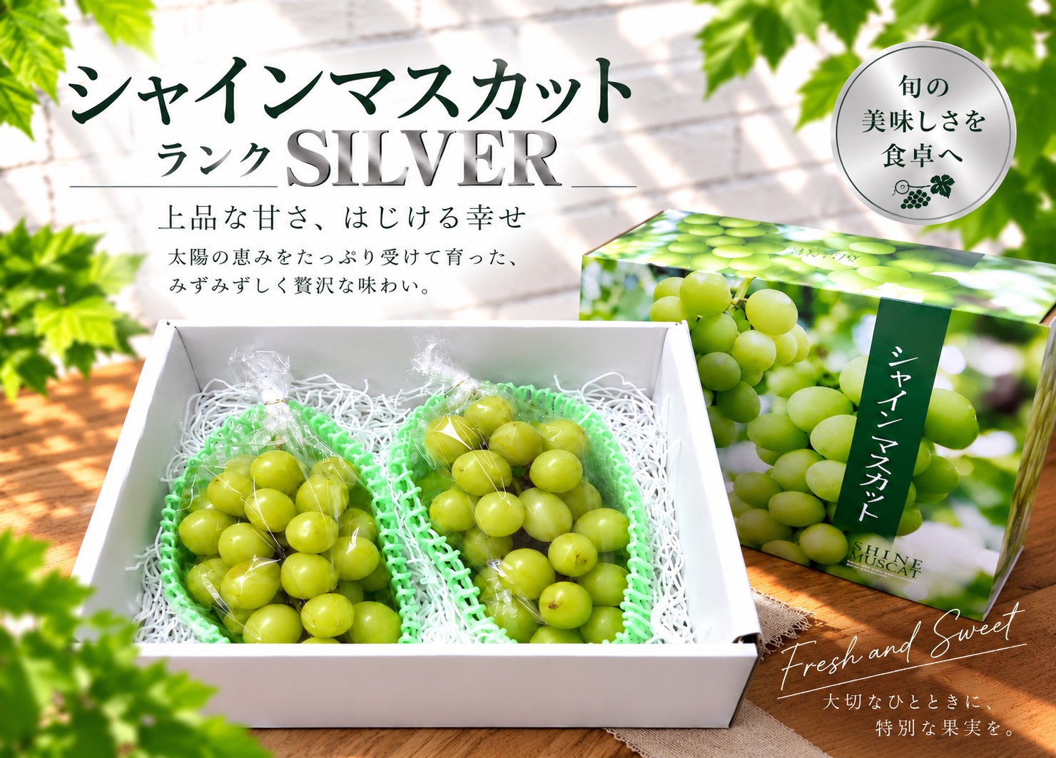 シャインマスカットSILVERランク2房