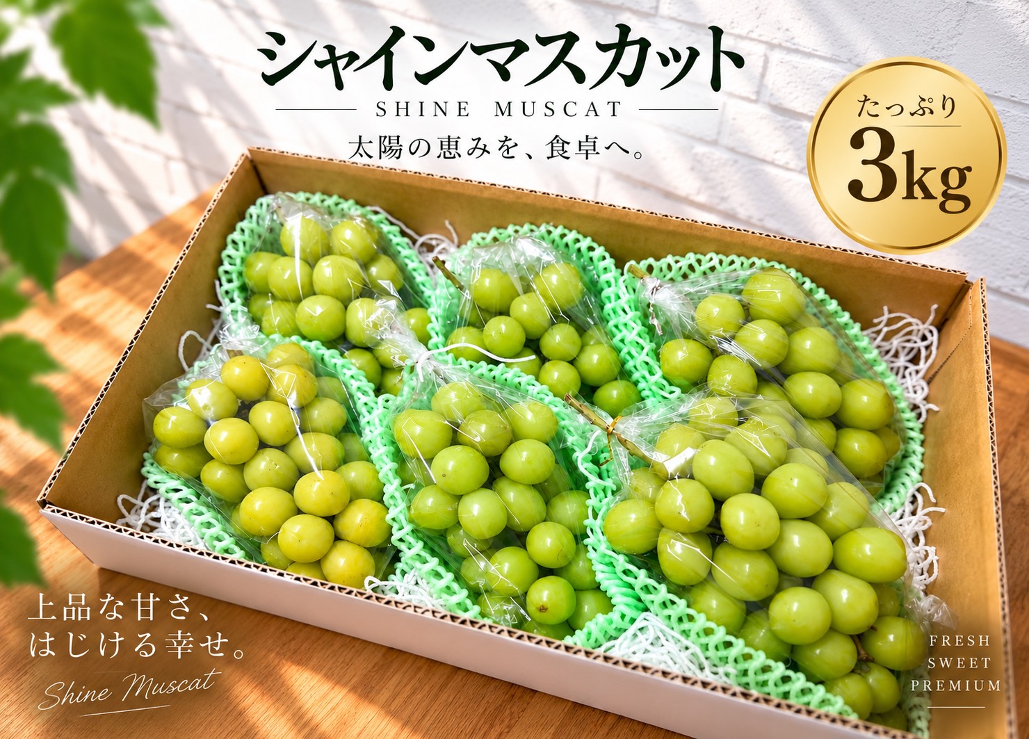 シャインマスカット 詰め合わせ3kg